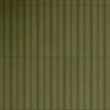 Miniature Rima Posidonia