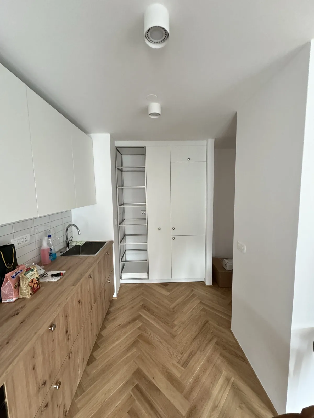 Dnevni prostor in hodnik – prenova – Stanovanje Župančičeva jama, Ljubljana