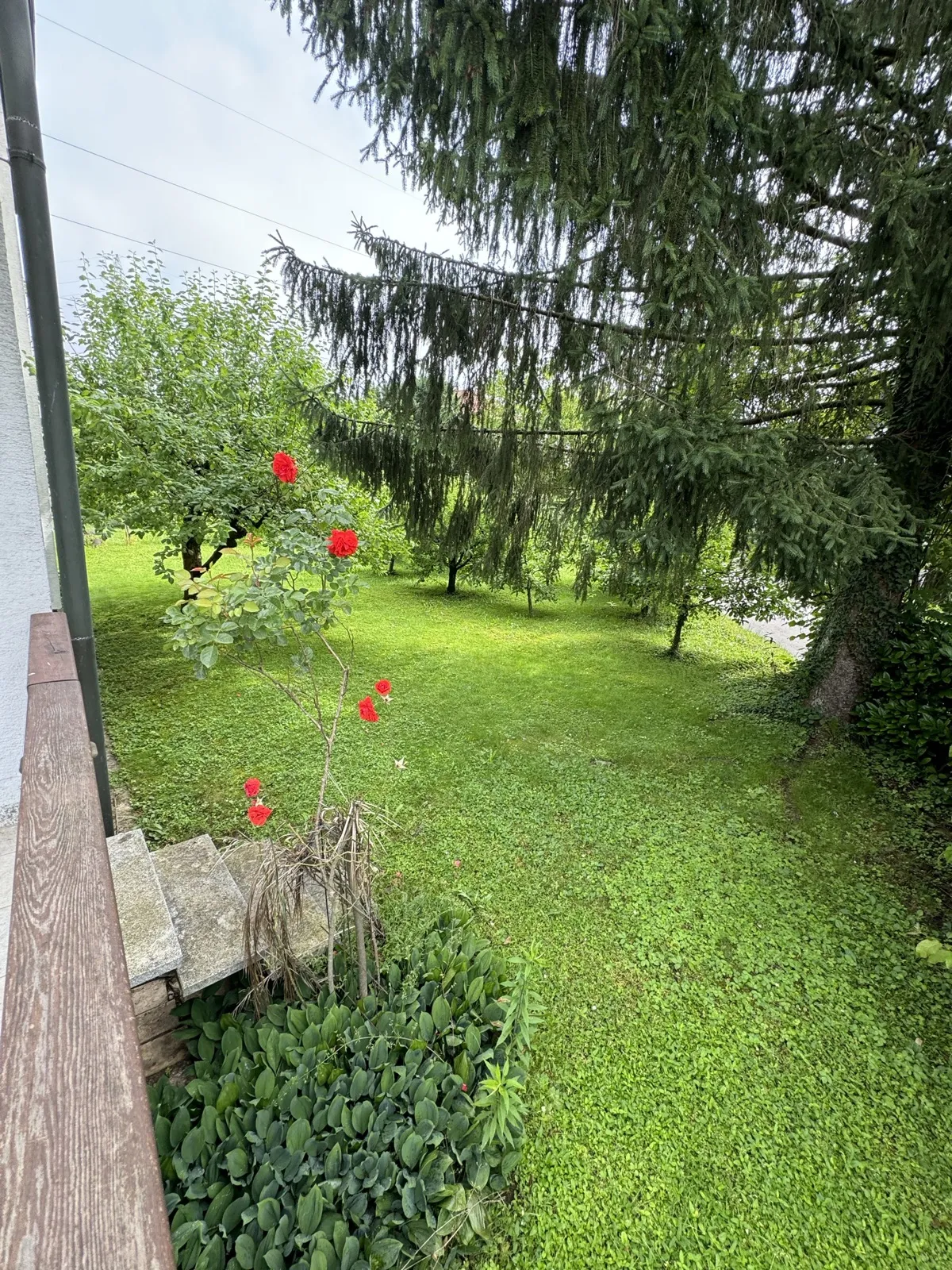 Zunanjost – zadaj in vrt – prenova – Vrstna hiša Ljubljana Brod