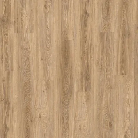 Intoo Blackjack Oak 22229 – Moduleo Intoo